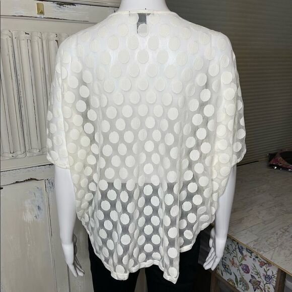 Alfani Off White Sheer Embroidered Neckline Pullover Blouse Top Size PM - Picture 2 of 12